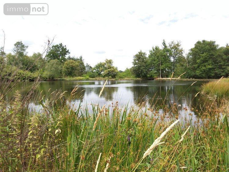 Maison a vendre Rougeou 41230 Loir-et-Cher 161 m2 4 pièces 330150 euros