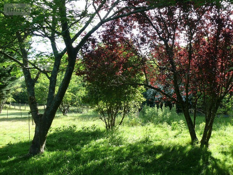 Maison a vendre Languenan 22130 Côtes-d'Armor 180 m2 8 pièces 399400 euros