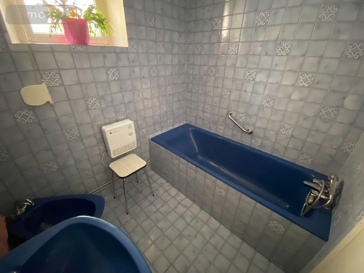 Maison a vendre Buzançais 36500 Indre 93 m2 3 pièces 86000 euros