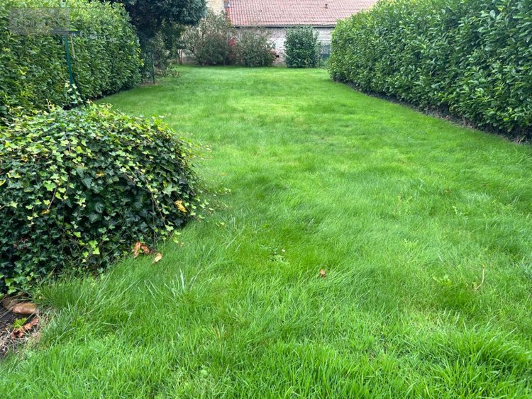 Fonds et murs commerciaux a vendre Hondschoote 59122 Nord 34 m2  312900 euros