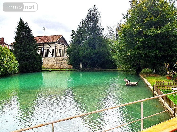 propriete a vendre Soulaines-Dhuys 10200 Aube 265 m2  310000 euros
