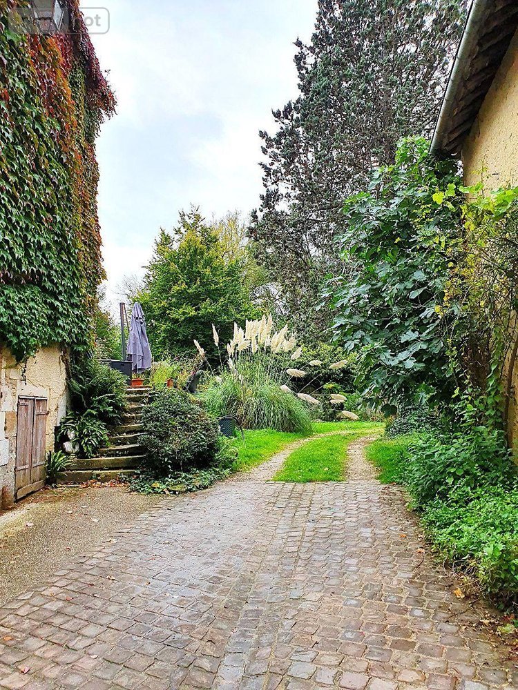 propriete a vendre Soulaines-Dhuys 10200 Aube 265 m2  310000 euros