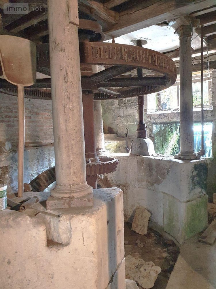 propriete a vendre Soulaines-Dhuys 10200 Aube 265 m2  310000 euros