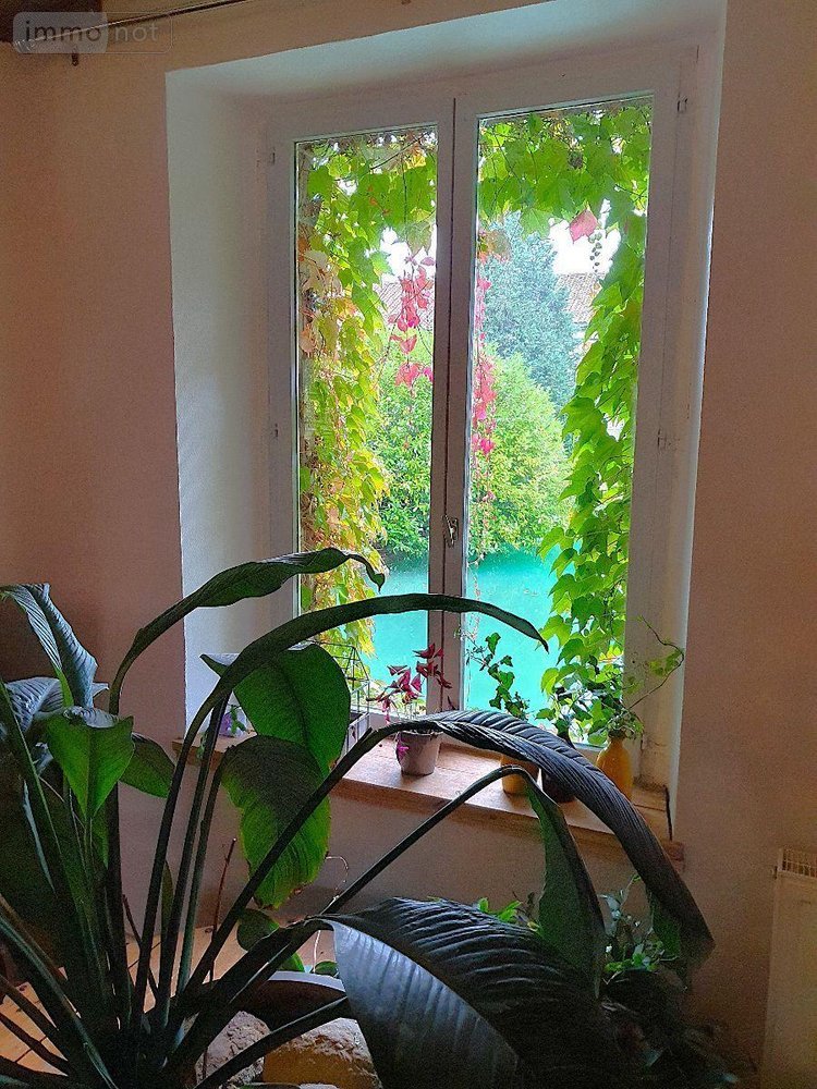 propriete a vendre Soulaines-Dhuys 10200 Aube 265 m2  310000 euros