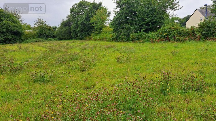 Terrain a batir a vendre Plouégat-Guérand 29620 Finistère 4700 m2  74000 euros