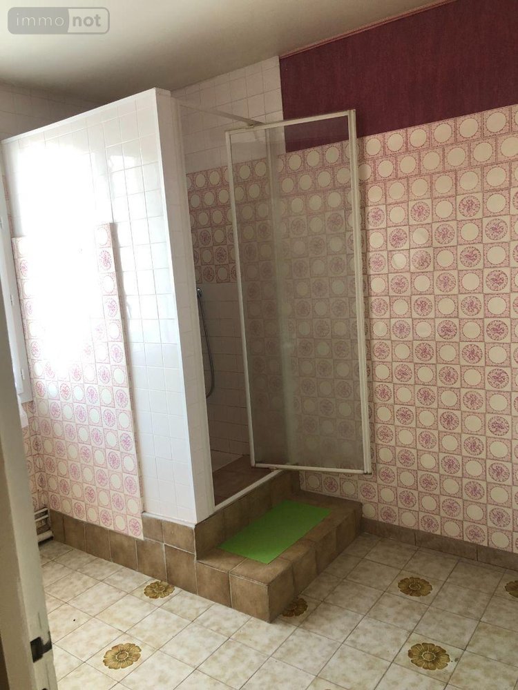 Maison a vendre Issoudun 36100 Indre 119 m2 6 pièces 106000 euros