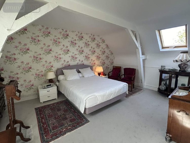 Maison a vendre Chouzé-sur-Loire 37140 Indre-et-Loire 320 m2 7 pièces 499000 euros