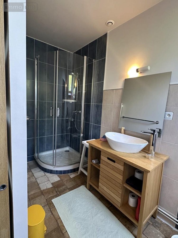 Maison a vendre Chouzé-sur-Loire 37140 Indre-et-Loire 320 m2 7 pièces 499000 euros