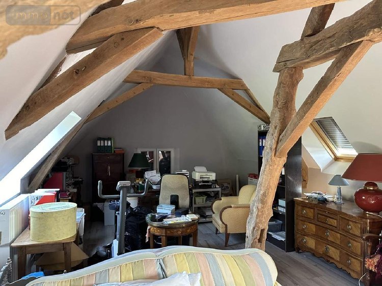 Maison a vendre Chouzé-sur-Loire 37140 Indre-et-Loire 320 m2 7 pièces 499000 euros