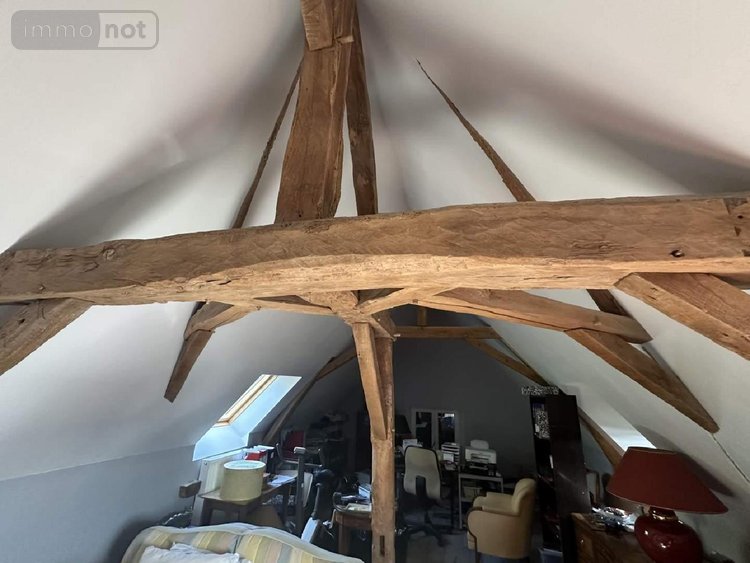 Maison a vendre Chouzé-sur-Loire 37140 Indre-et-Loire 320 m2 7 pièces 499000 euros