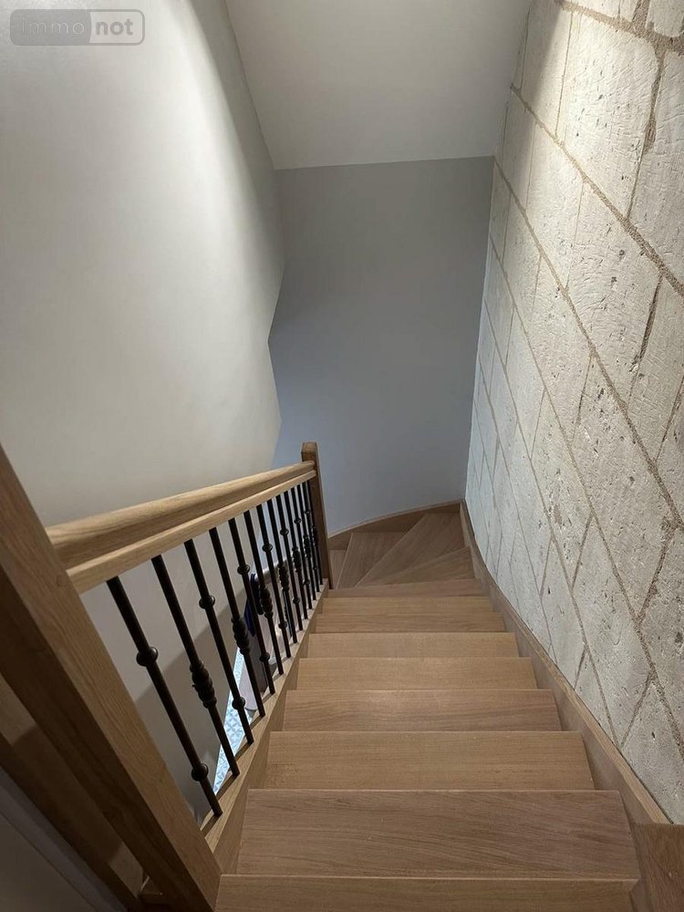 Maison a vendre Chouzé-sur-Loire 37140 Indre-et-Loire 320 m2 7 pièces 499000 euros