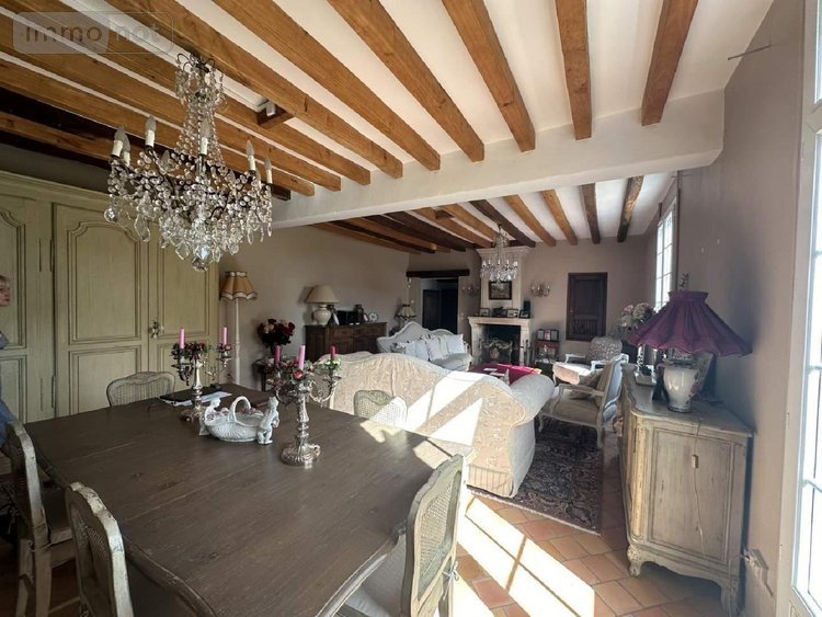 Maison a vendre Chouzé-sur-Loire 37140 Indre-et-Loire 320 m2 7 pièces 499000 euros