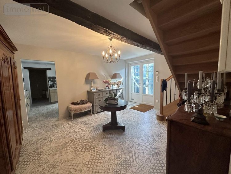 Maison a vendre Chouzé-sur-Loire 37140 Indre-et-Loire 320 m2 7 pièces 499000 euros