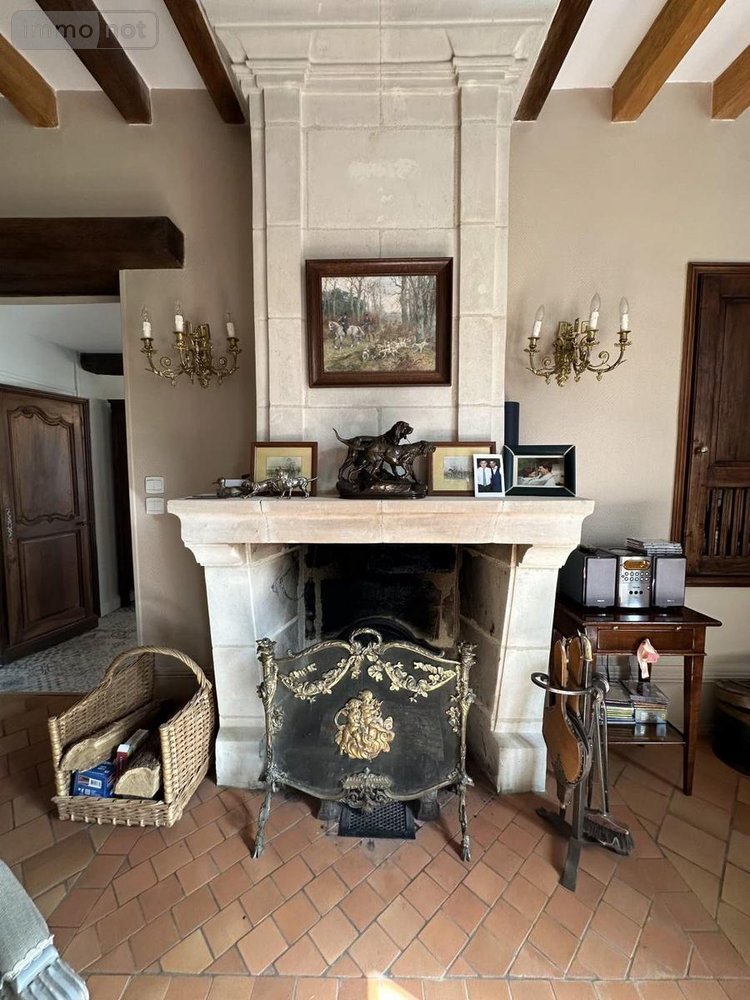 Maison a vendre Chouzé-sur-Loire 37140 Indre-et-Loire 320 m2 7 pièces 499000 euros