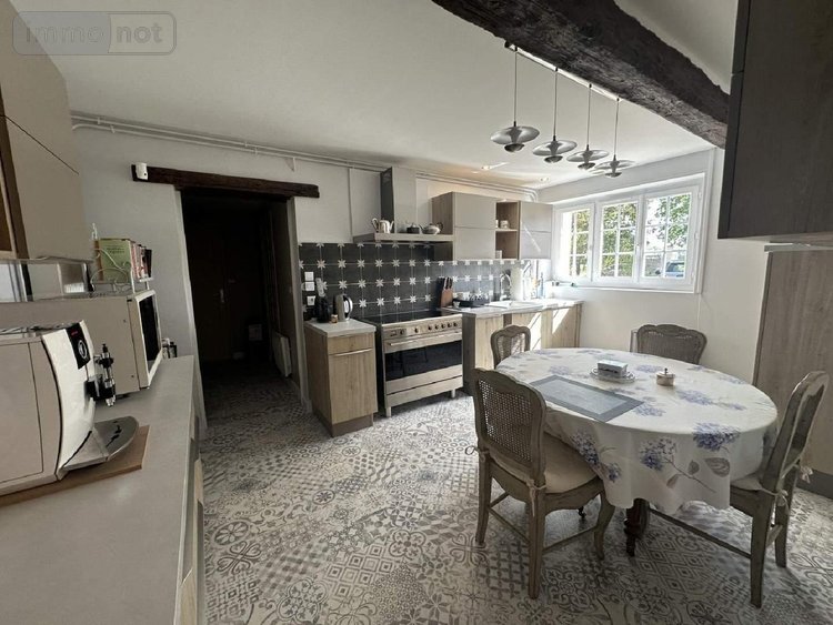 Maison a vendre Chouzé-sur-Loire 37140 Indre-et-Loire 320 m2 7 pièces 499000 euros