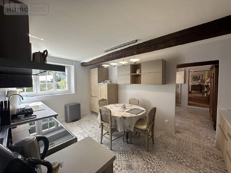 Maison a vendre Chouzé-sur-Loire 37140 Indre-et-Loire 320 m2 7 pièces 499000 euros