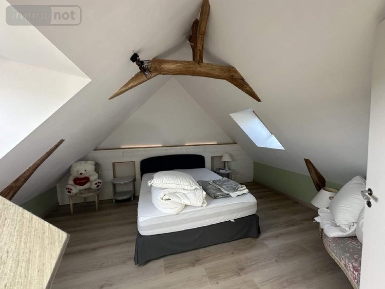 Maison a vendre Chouzé-sur-Loire 37140 Indre-et-Loire 320 m2 7 pièces 499000 euros