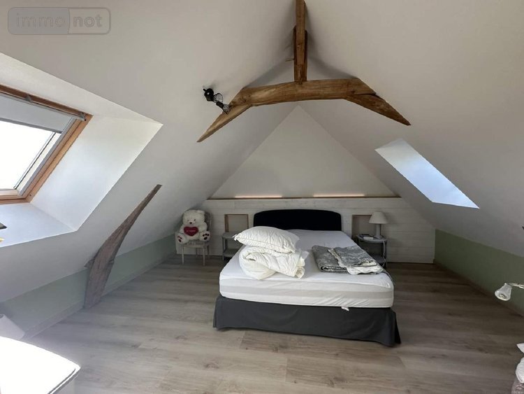 Maison a vendre Chouzé-sur-Loire 37140 Indre-et-Loire 320 m2 7 pièces 499000 euros