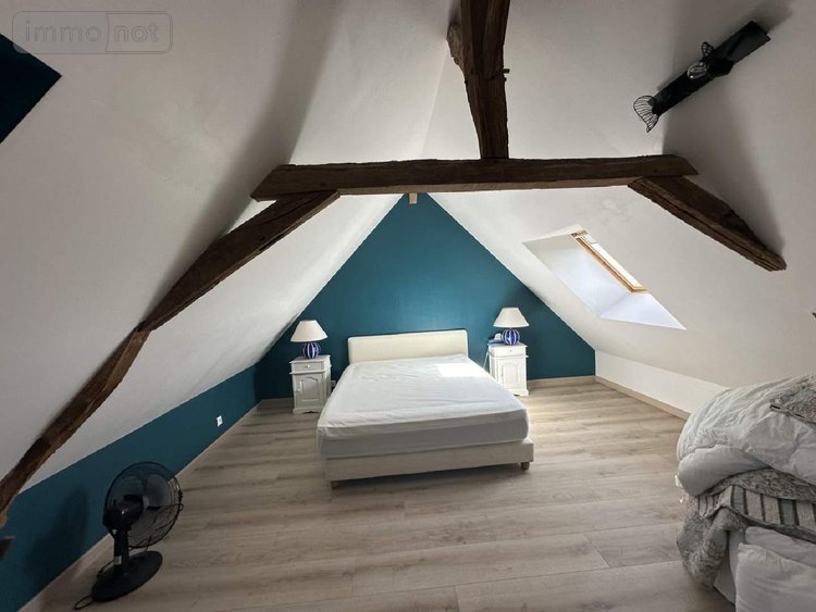 Maison a vendre Chouzé-sur-Loire 37140 Indre-et-Loire 320 m2 7 pièces 499000 euros