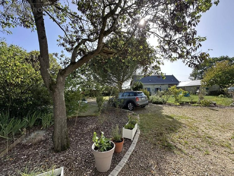 Maison a vendre Chouzé-sur-Loire 37140 Indre-et-Loire 320 m2 7 pièces 499000 euros