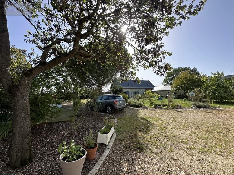 Maison a vendre Chouzé-sur-Loire 37140 Indre-et-Loire 320 m2 7 pièces 499000 euros