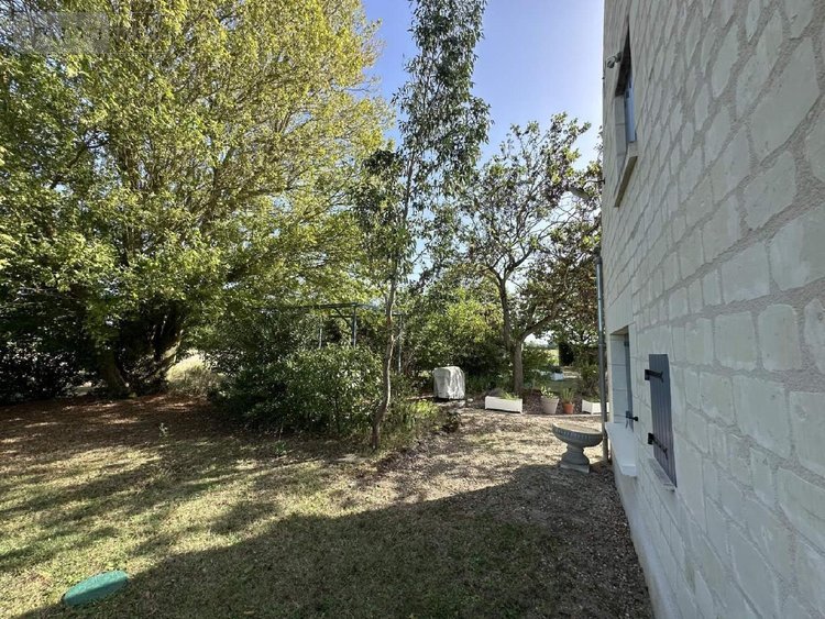 Maison a vendre Chouzé-sur-Loire 37140 Indre-et-Loire 320 m2 7 pièces 499000 euros