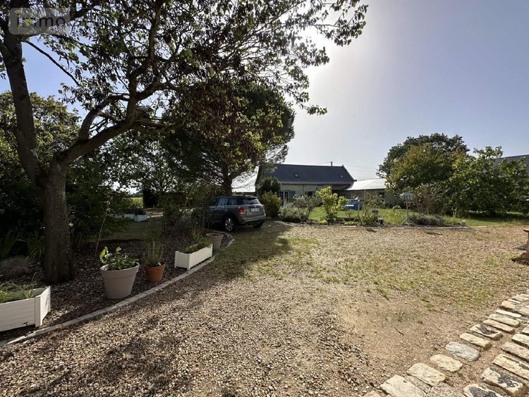 Maison a vendre Chouzé-sur-Loire 37140 Indre-et-Loire 320 m2 7 pièces 499000 euros