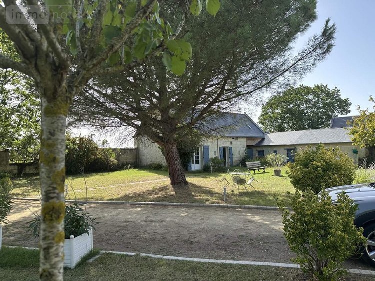 Maison a vendre Chouzé-sur-Loire 37140 Indre-et-Loire 320 m2 7 pièces 499000 euros