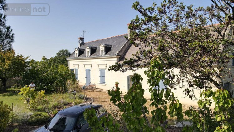 Maison a vendre Chouzé-sur-Loire 37140 Indre-et-Loire 320 m2 7 pièces 499000 euros