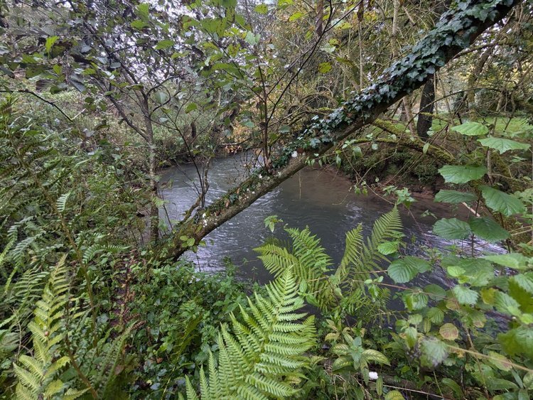 Maison a vendre Ligny-sur-Canche 62270 Pas-de-Calais 158 m2 7 pièces 209000 euros