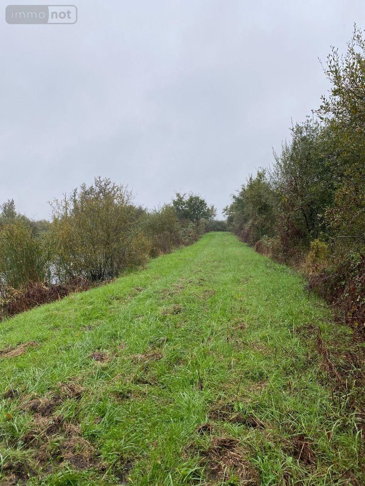 Terrains de loisirs bois etangs a vendre Saint-Michel-en-Brenne 36290 Indre 185567 m2  319000 euros
