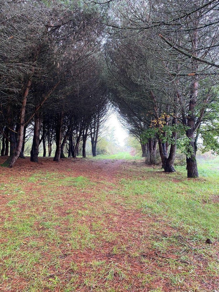 Terrains de loisirs bois etangs a vendre Saint-Michel-en-Brenne 36290 Indre 185567 m2  319000 euros