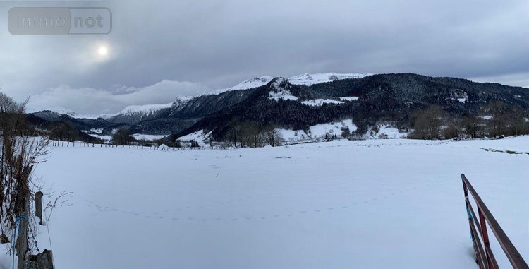 Maison a vendre Le Falgoux 15380 Cantal 200 m2  84800 euros