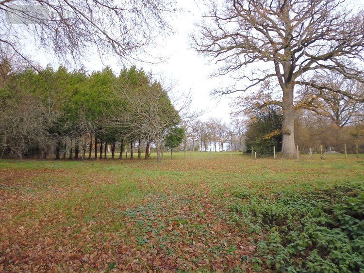 Maison a vendre Villard 23800 Creuse 257 m2 10 pièces 177000 euros