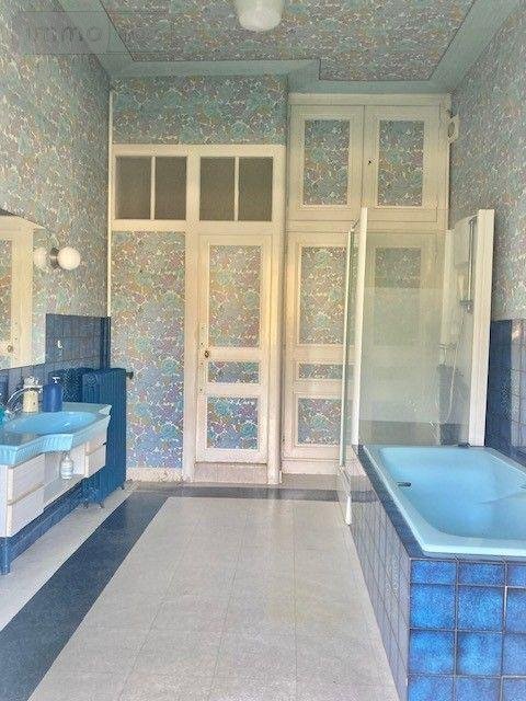 propriete a vendre Guécélard 72230 Sarthe 221 m2 12 pièces 230000 euros