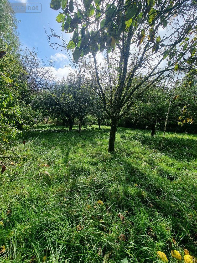 Maison a vendre Neuvy-Saint-Sépulchre 36230 Indre 166 m2 7 pièces 213000 euros