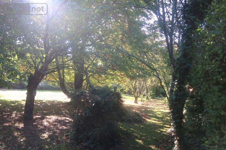 Maison a vendre Colombiers 86490 Vienne 281 m2 10 pièces 387760 euros