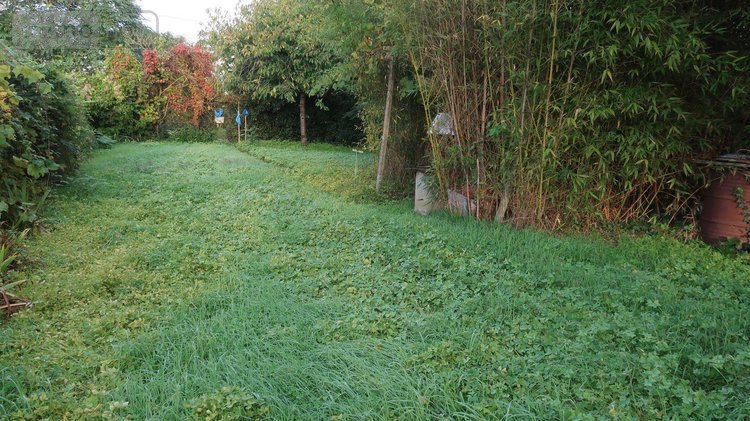 Bien agricole a vendre Châtellerault 86100 Vienne  18000 euros