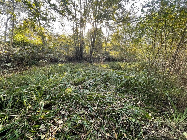 Maison a vendre Brétignolles-le-Moulin 53110 Mayenne 40 m2 3 pièces 58300 euros