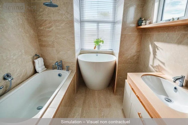 Maison a vendre Souesmes 41300 Loir-et-Cher 69 m2 4 pièces 68510 euros