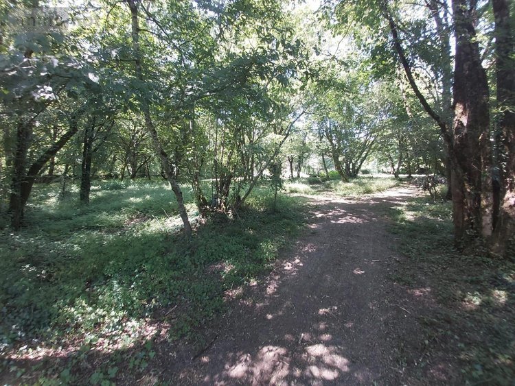 Maison a vendre Paizay-le-Sec 86300 Vienne 170 m2 6 pièces 229240 euros