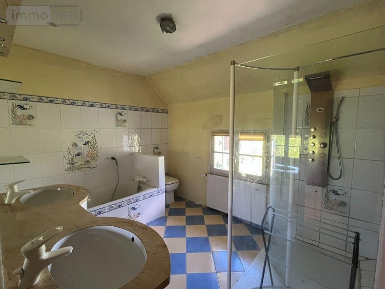 Maison a vendre Briel-sur-Barse 10140 Aube 340 m2 9 pièces 194760 euros