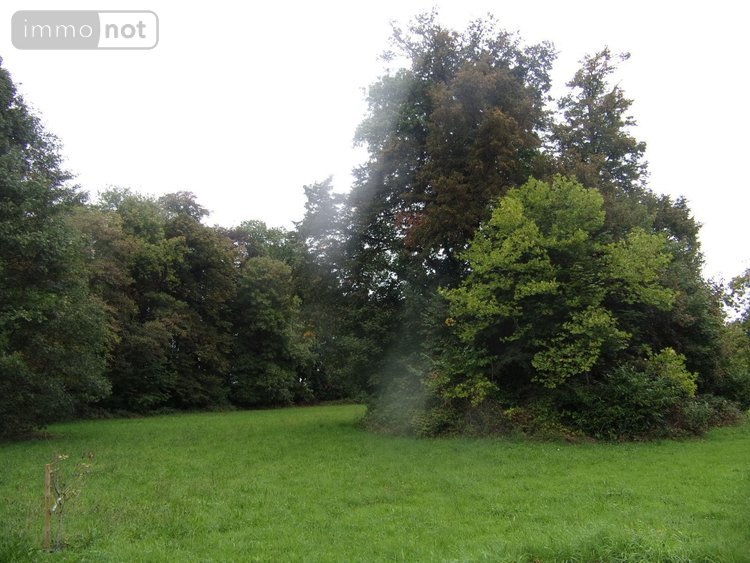 propriete a vendre Saint-Denis-de-Gastines 53500 Mayenne 322 m2 12 pièces 530137 euros