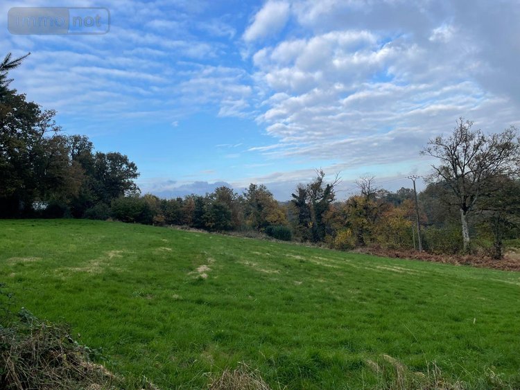 Maison a vendre Javron-les-Chapelles 53250 Mayenne 312 m2 13 pièces 199000 euros