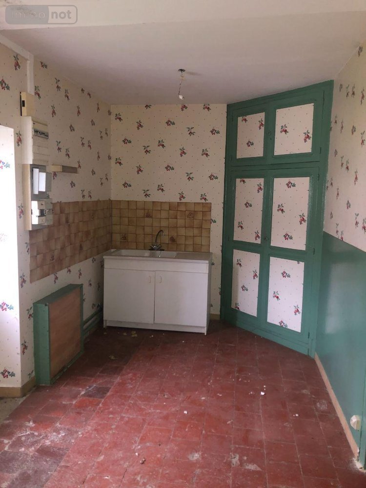 Maison a vendre Saint-Ambroix 18290 Cher 120 m2  53000 euros