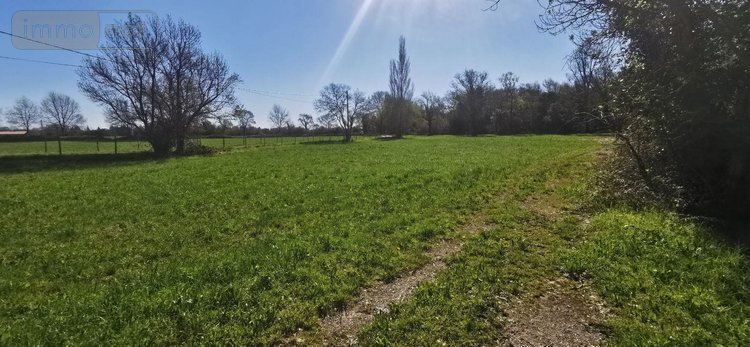 propriete a vendre Saint-Martin-de-Crau 13310 Bouches-du-Rhône 170 m2 6 pièces 780000 euros