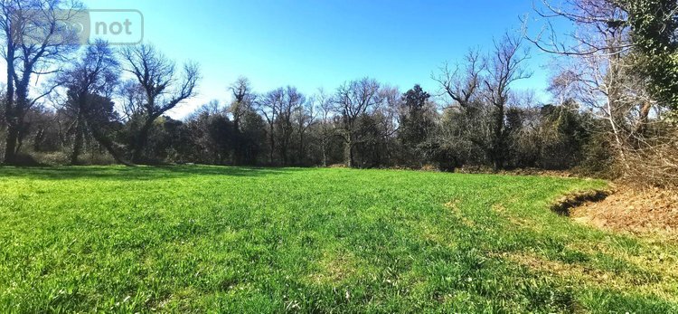 propriete a vendre Saint-Martin-de-Crau 13310 Bouches-du-Rhône 170 m2 6 pièces 780000 euros