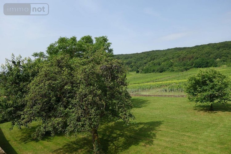 Maison a vendre Péronne 71260 Saône-et-Loire 204 m2 7 pièces 525000 euros