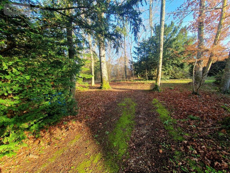 Maison a vendre Souppes-sur-Loing 77460 Seine-et-Marne 378 m2 13 pièces 450000 euros