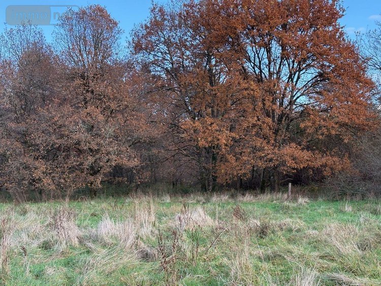 Maison a vendre Salbris 41300 Loir-et-Cher 84 m2 2 pièces 206848 euros